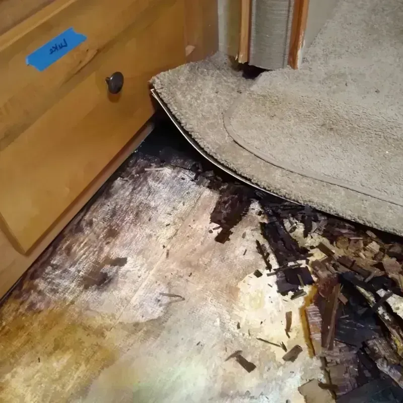 Best Wood Floor Water Damage Service in Oelwein, IA